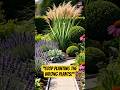 Top 10 Garden Plants to Grow in 2026 🌿✨ Beautiful, Easy & Value Boosting