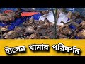 হাঁসের খামার পরিদর্শন