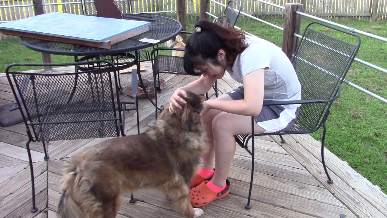 First Video - Canon Vixia HF R600 Test