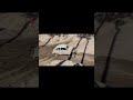 VW Baja Käfer Offroad Park Peckfitz - Fast Stecken geblieben bei Matschdurchfahrt