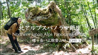 【北アルプスパノラマ銀座】2泊3日ソロハイク縦走！蝶ヶ岳〜三股登山口【Day3】