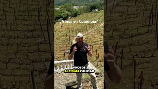 ¿Vinos en Colombia? #bartender #vino #wine #bar #restaurant #sommelier