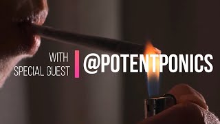 Sessions- PotentPonics