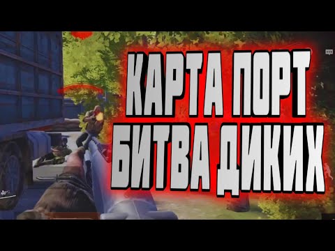 Видео: ARENA BREAKOUT! КАТКИ НА КАРТЕ ПОРТ! БИТВА ДИКИХ!