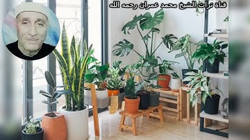 مقطع خاشع من سورة هود بصوت الشيخ ربيع زين