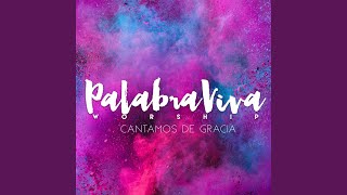 Video thumbnail of "Palabra Viva Worship - Vuelve"