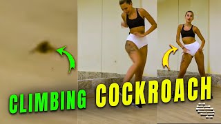 Cockroach Climbing Girl’s Leg While Recording a Video