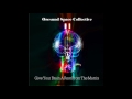 Øresund Space Collective ‎– Give Your Brain A Rest From The Matrix(Full Album)