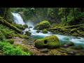 Nature Sounds with Waterfall Ambience and Relaxing Music for Calm Nights