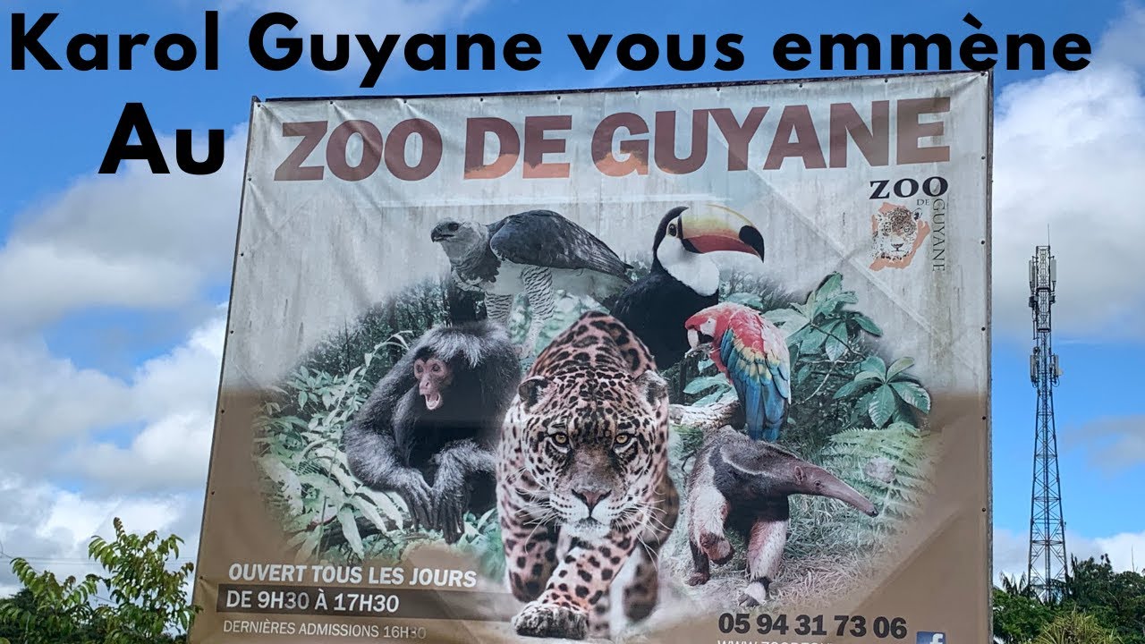 Visite du ZOO DE CAYENNE - Guyane-