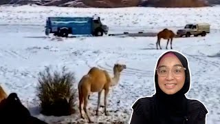 Adakah Normal Arab Saudi Turun Salji?