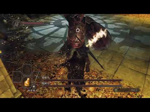 黑暗靈魂 II 原罪哲人 - 雙龍騎兵 連續盾反