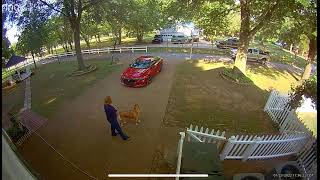 Dog Takes Off After Squirrel and Takes Down Owner || ViralHog