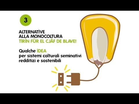 Video: Quale dei seguenti non è un effetto negativo della monocultura?