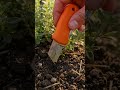 This Tiny Blade Is Shockingly Powerful!