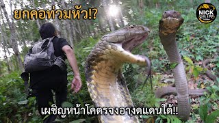 ลุยดิบ EP.60 แผ่แม่เบี้ยท่วมหัว!? เผชิญหน้าโคตรจงอางดุแดนใต้!!