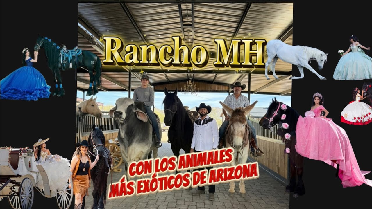 Rancho MH con los animales más exóticos de Arizona, entrevista con Mundo Ecuestre.