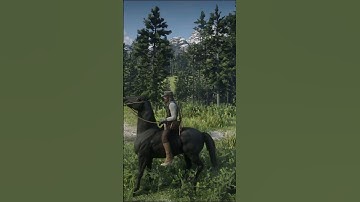 Z BLACK HORSE LOCATION RED DEAD REDEMPTION 2 #rdr2