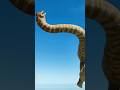 【飛び降り】ブラキオサウルスが崖からジャンプしていた/Brachiosaurus was jumping off a cliff.  #dinosaur