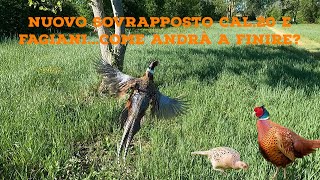 Aspettando la riapertura della caccia (Stag.3)- Nuovo sovrapposto cal. 20 e fagiani in riserva!