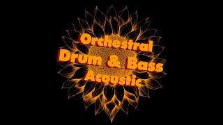Lifetheory - Sunflower (Orchestral Drum'n'bass Official Audio 2024)