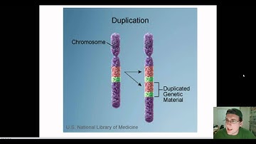 Chromosomal Mutations