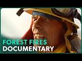 Storm Rider (Forest Fire Documentary) | Real Stories