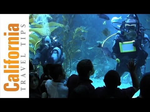 Video: California Science Center - Una guida per i visitatori