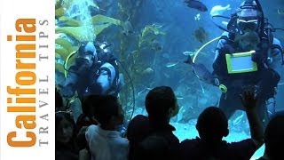 California Science Center - Free Things to Do in LA