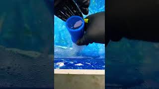QUICK GREEN-CLEAN #shorts #thep00lguy #satisfying #oddlysatisfying
