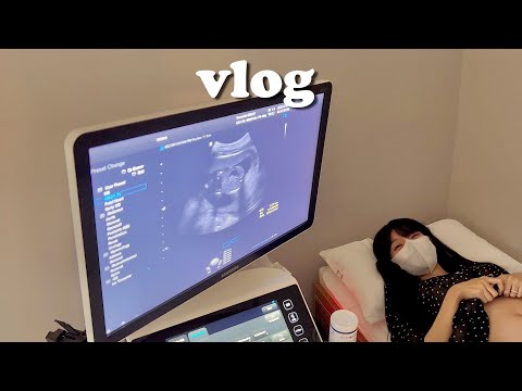 VLOG 사랑이 성별 보는날!👼 딤섬에 빠져버림🥟, 남편 쇼핑의날🛍임신 16주 일상