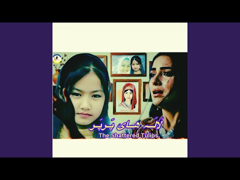 لاله های پرپر