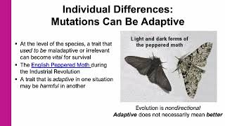 Ch 08 Lecture What is Evolutionary Personality Psych