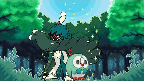 LIVE Shiny Rowlet hatches after 326 Masuda eggs