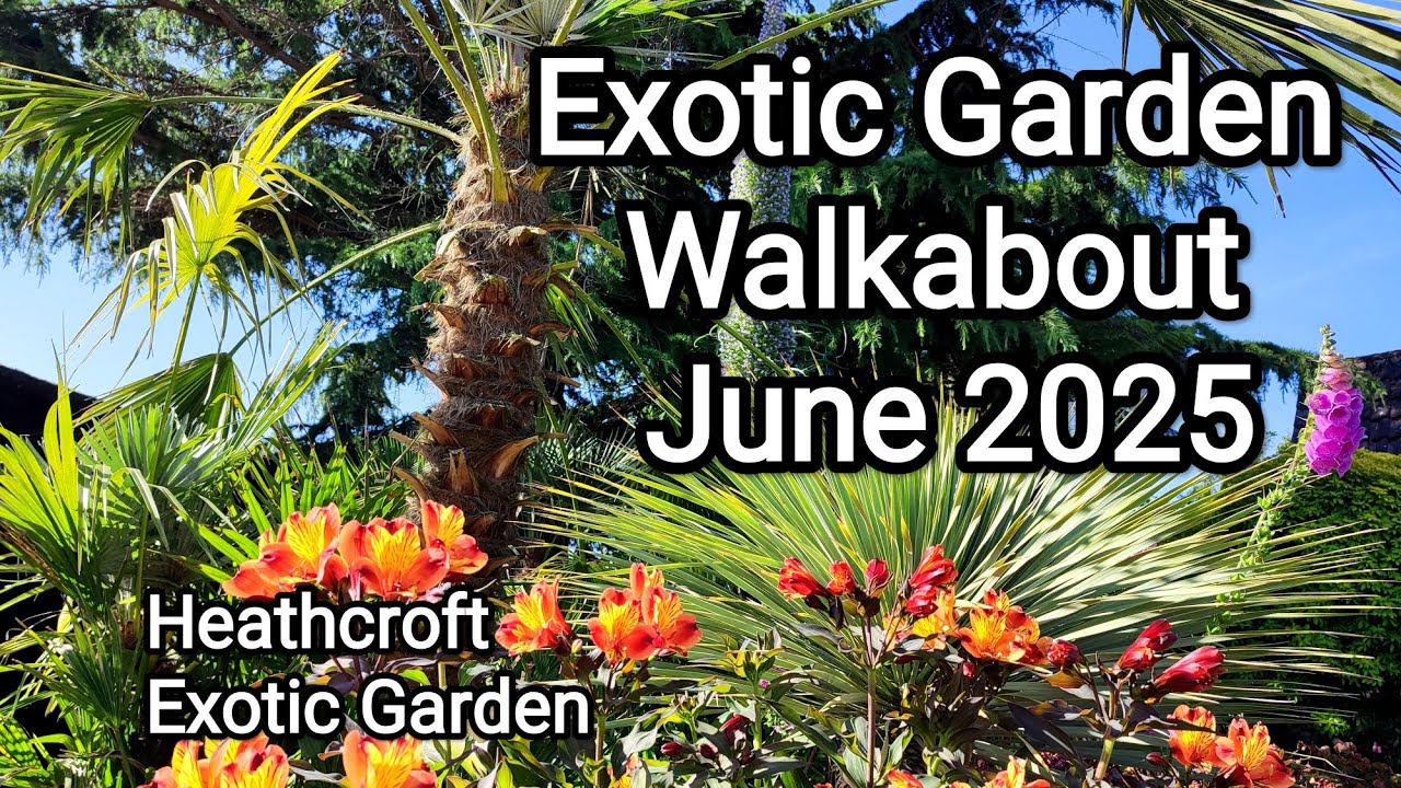 Heathcroft Garden Walk: Exotic Plants in a Cool Climate