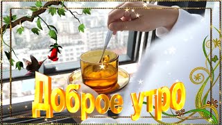 Доброе Утро! Пожелания С Добрым Утром! Удачного Дня И Хорошего Настроения!