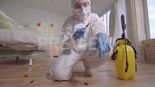 Pest Control 30 second