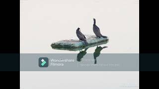 Dhafer Youssef - Un Soupir Eternel