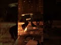 Dying Light 2 - Unter den Tischen gesoffen #gaming #unterhaltung #letsplay
