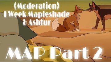 {MODERATION} 1 Week Mapleshade and Ashfur MAP [Part 2]
