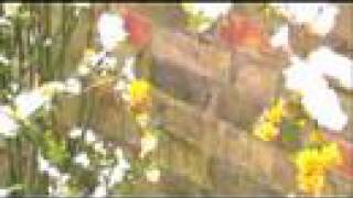 Easter Day 2008 - DragonFire Productions