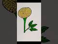 #merigold #flower #drawing #technique #short