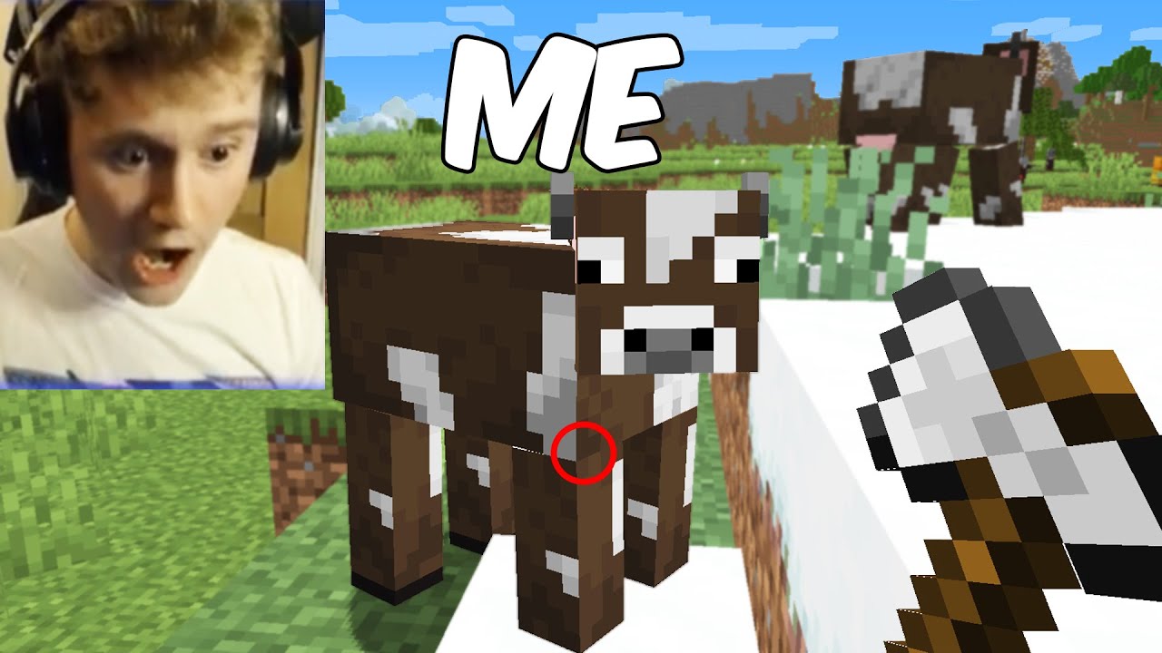 I Fooled A Streamer Using A Shapeshift Mod in Minecraft