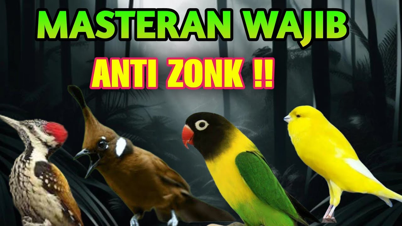 MASTERAN MURAI BATU VIRAL SUARA JERNIH MUDAH DITIRU