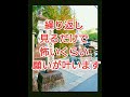 ※1分願い事をしてください【必ず願いが叶う】願いの実現を受け入れた瞬間、あなたの人生が急激に変化します | 金運招福