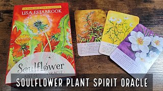 List 5 Plant Spirit Oracle hay nhất