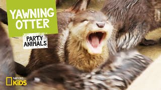 Yawning Otter feat. Parry Gripp (Music Video) | Party Animals