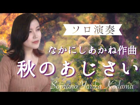 なかにしあかね作曲「秋のあじさい」作詞：星野富弘｜ソプラノ 小玉友里花