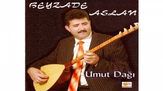 Beyzade Aslan - Umut Dağı Resimi