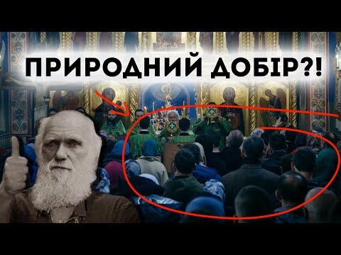 Природний добір працює НЕ ТАК! Клятий раціоналіст